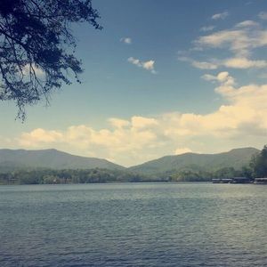 Meet your Posher, Cheyenne